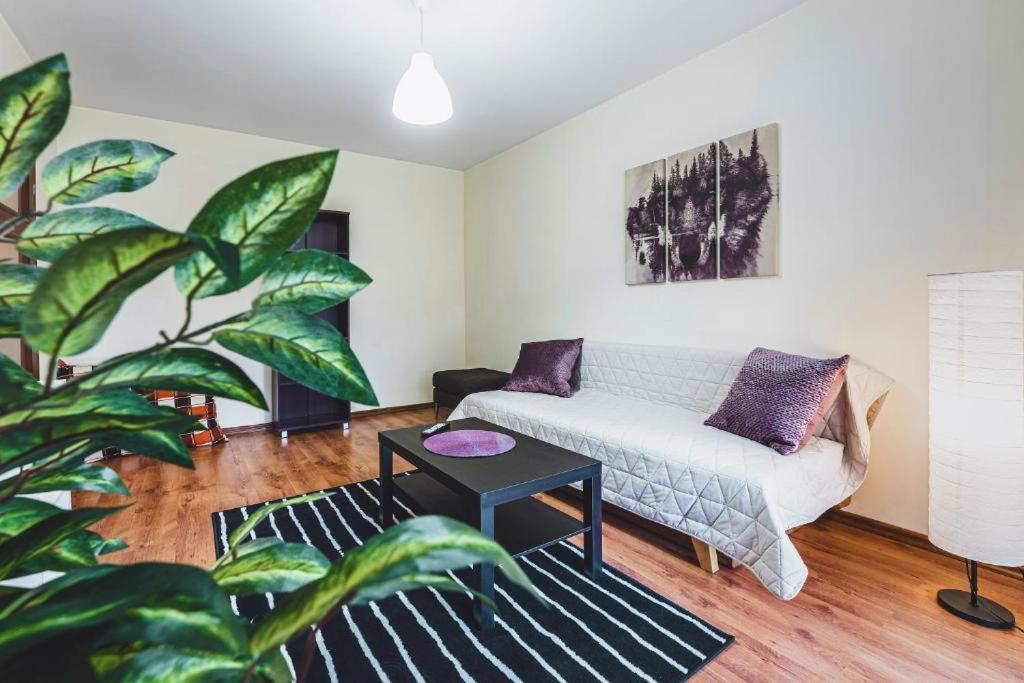 Apartament Niecala Queens Superior Lublin Buitenkant foto